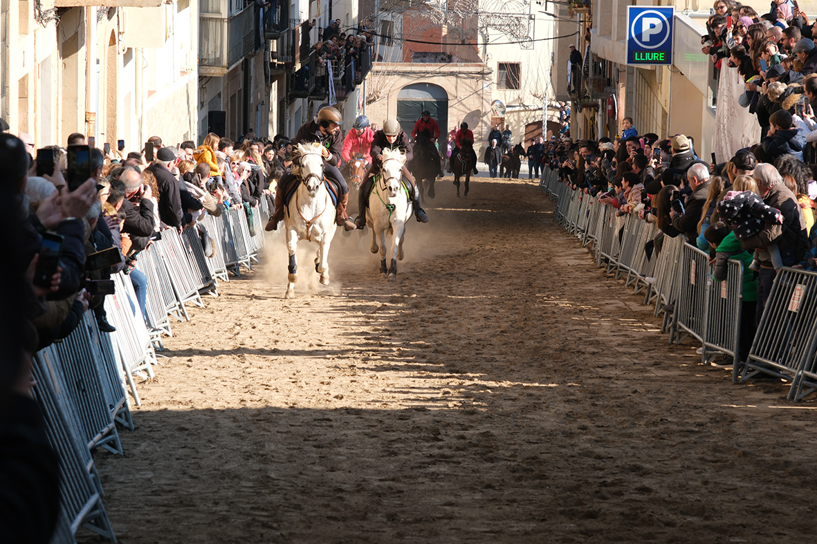 Festes de Sant Antoni d'Ascó