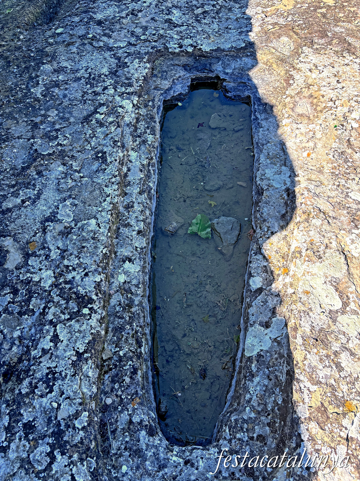 Les Masies de Roda - L'Esquerda: poblat ibèric i medieval 