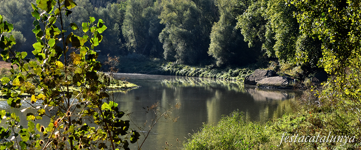 Les Masies de Roda - Meandre del Gelabert del riu Ter