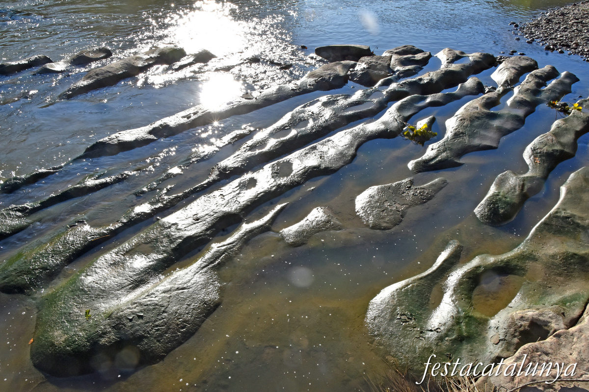 Les Masies de Roda - Meandre del Gelabert del riu Ter