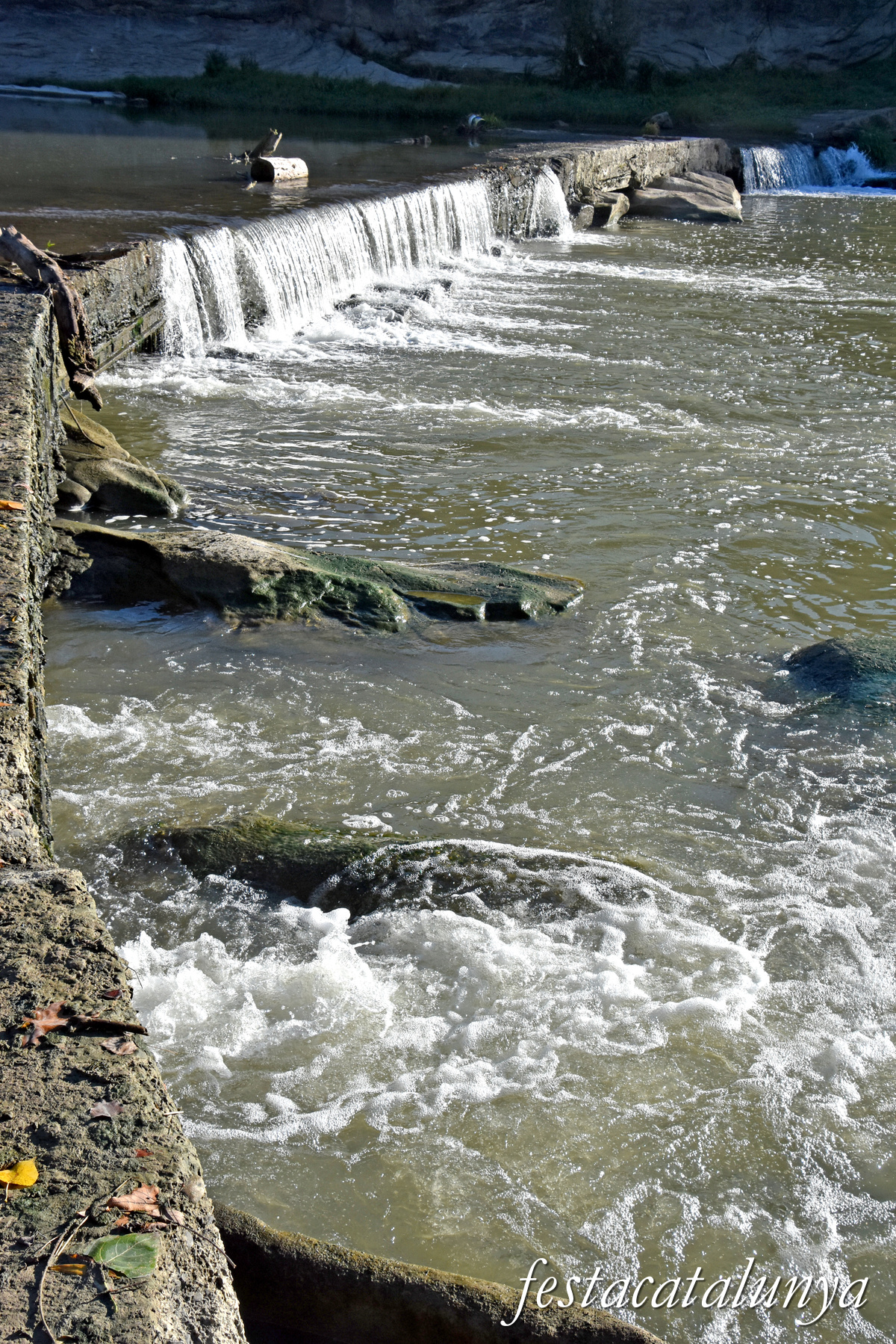 Les Masies de Roda - Meandre del Gelabert del riu Ter