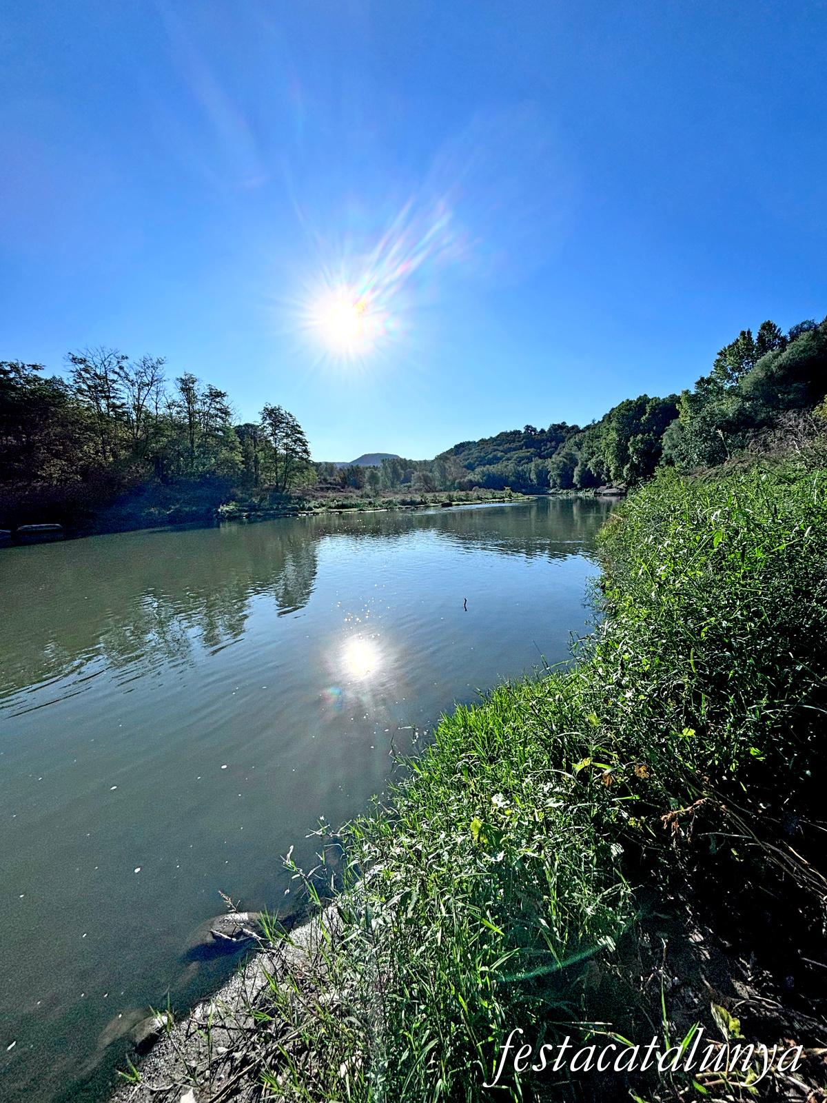 Les Masies de Roda - Meandre del Gelabert del riu Ter