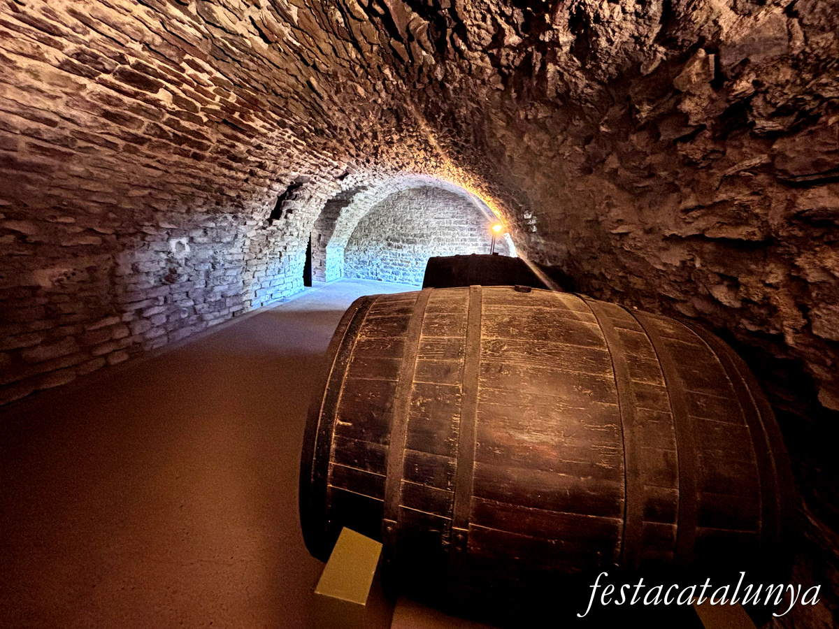 Les Masies de Roda - Dependències i estances del monestir de Sant Pere de Casserres - El Celler