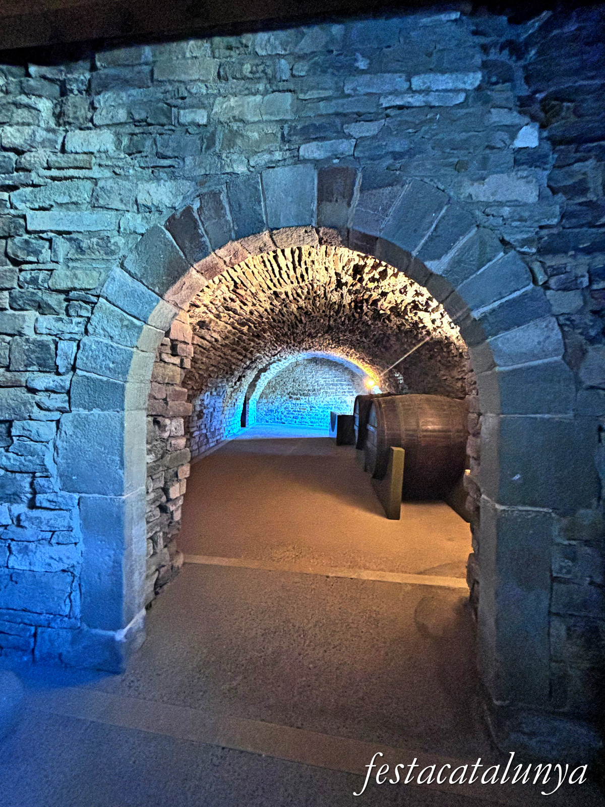 Les Masies de Roda - Dependències i estances del monestir de Sant Pere de Casserres - El Celler