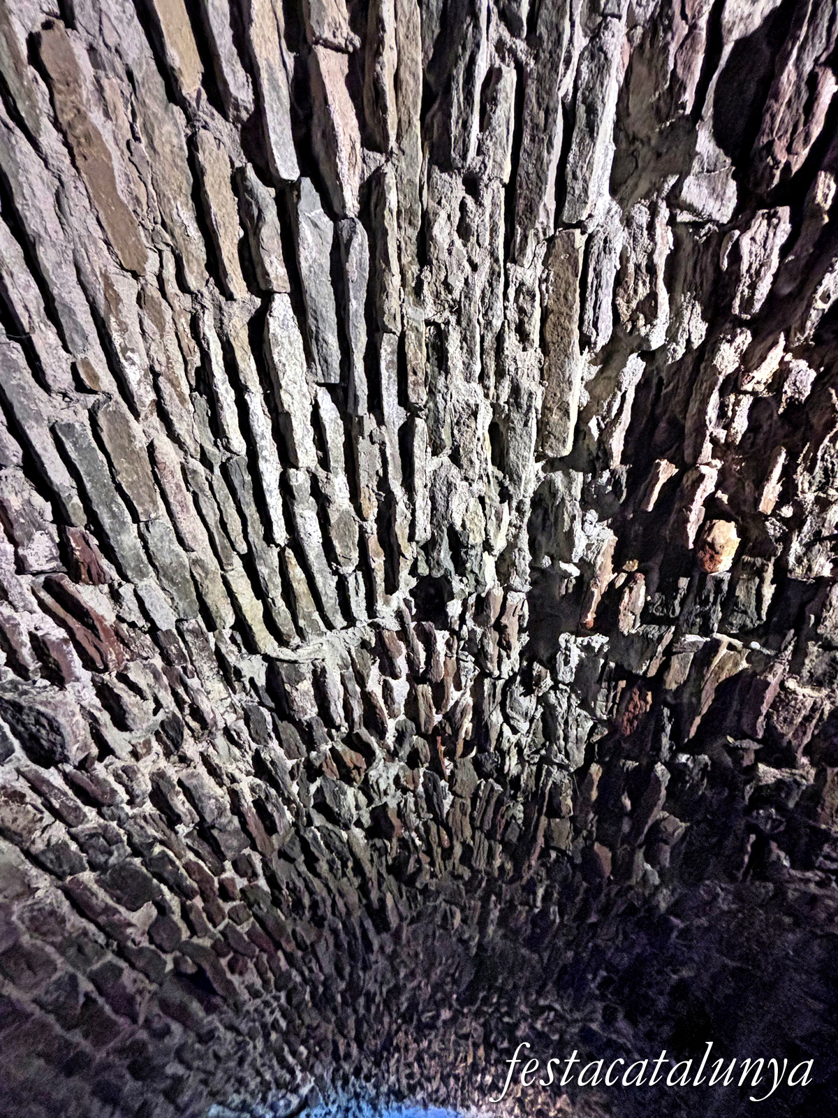 Les Masies de Roda - Dependències i estances del monestir de Sant Pere de Casserres - El Celler