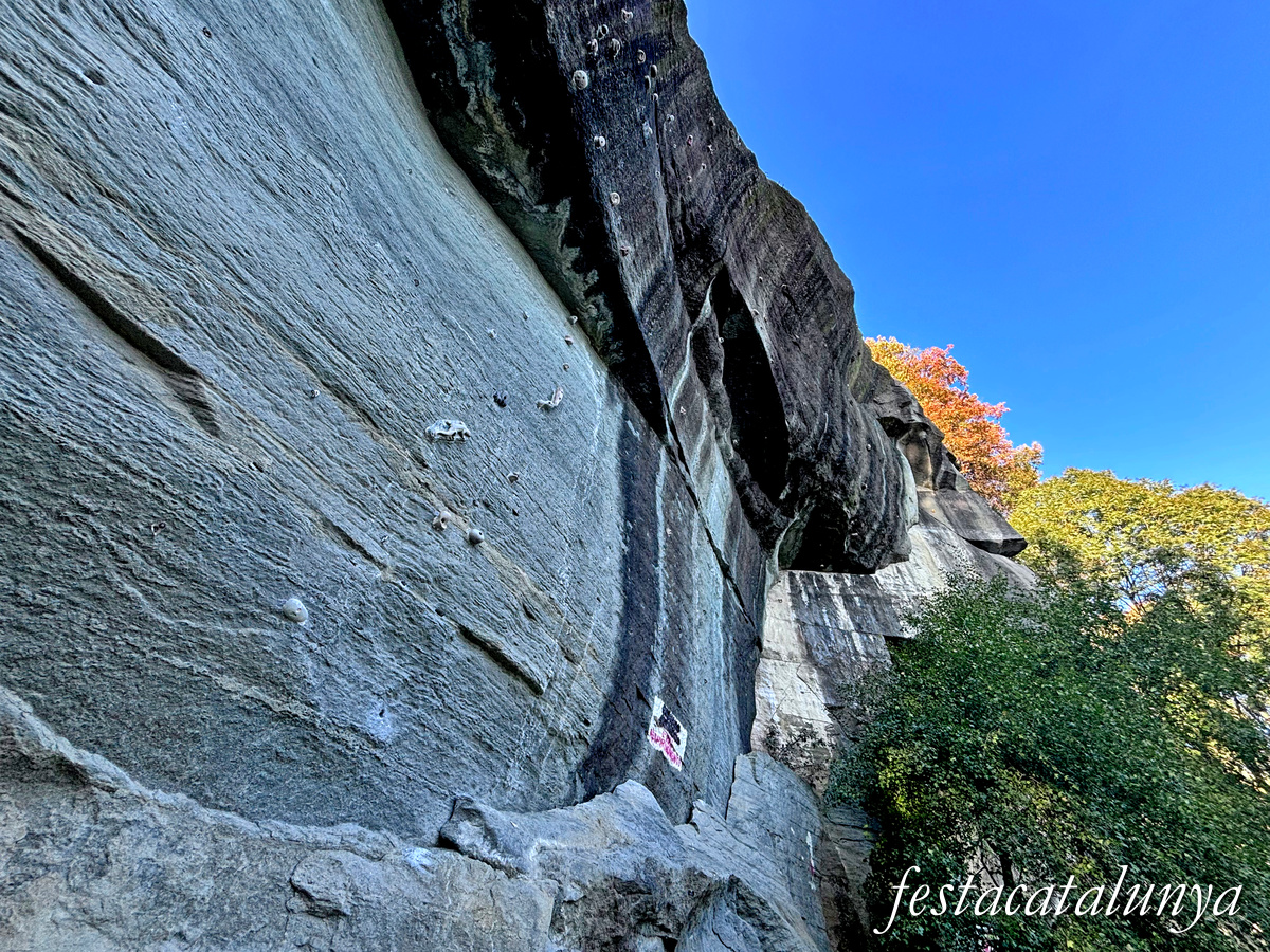 Les Masies de Roda - Sorralta, el rocòdrom de les Bruixes