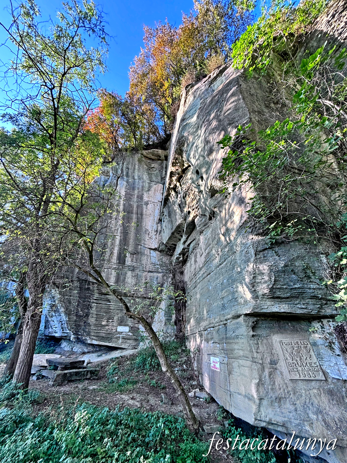 Les Masies de Roda - Sorralta, el rocòdrom de les Bruixes 