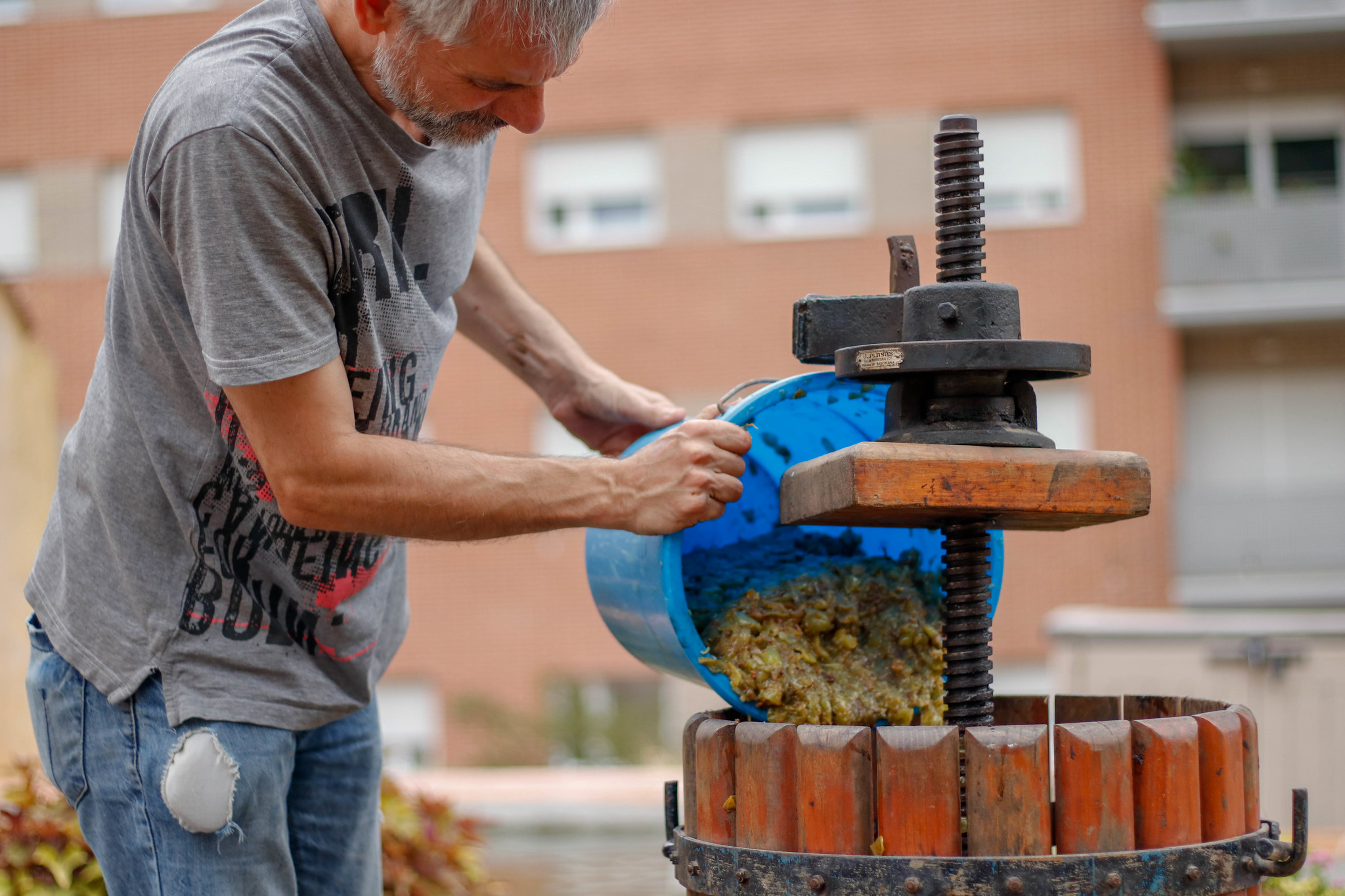 Festa de la Verema de Cabrera de Mar