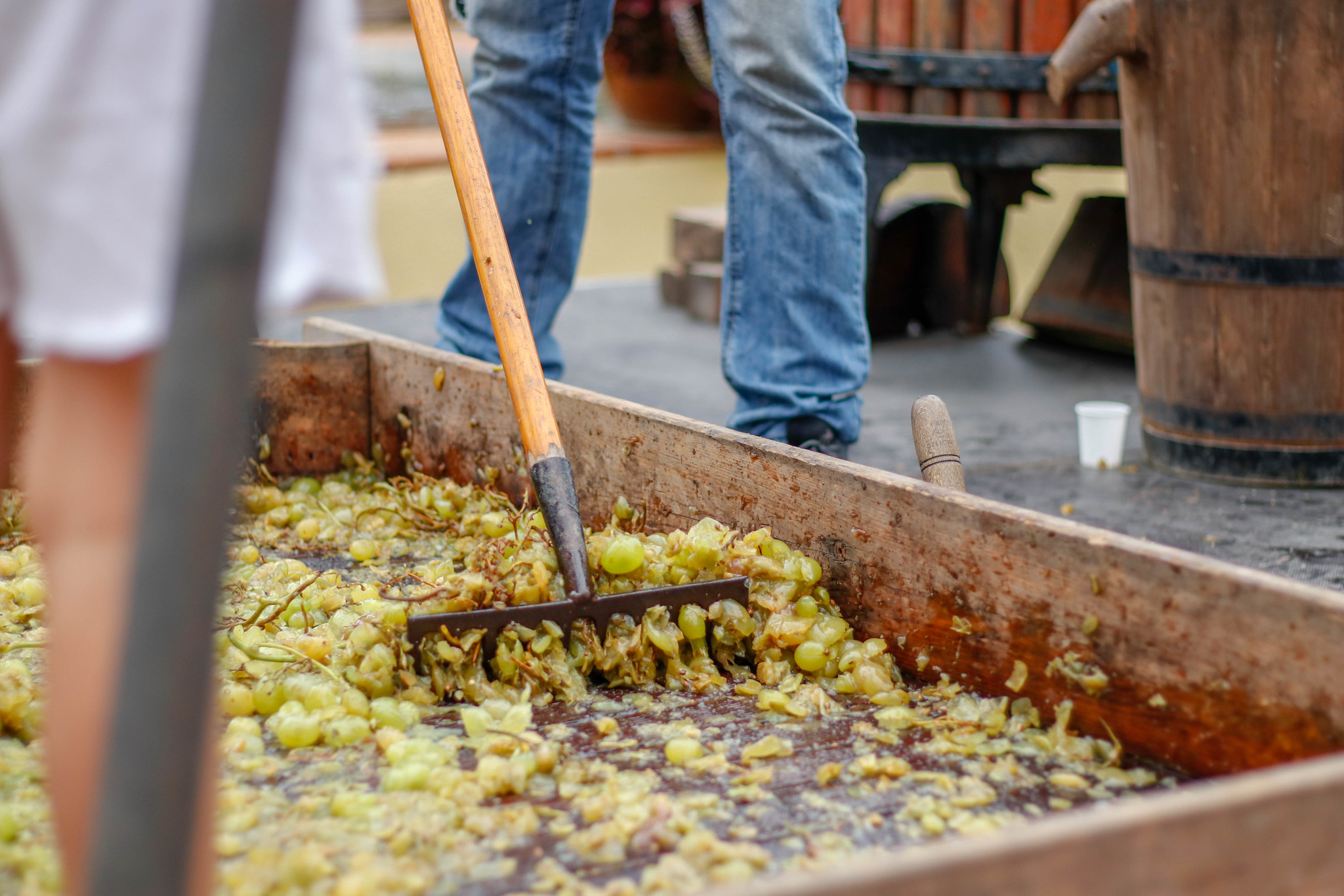 Festa de la Verema de Cabrera de Mar