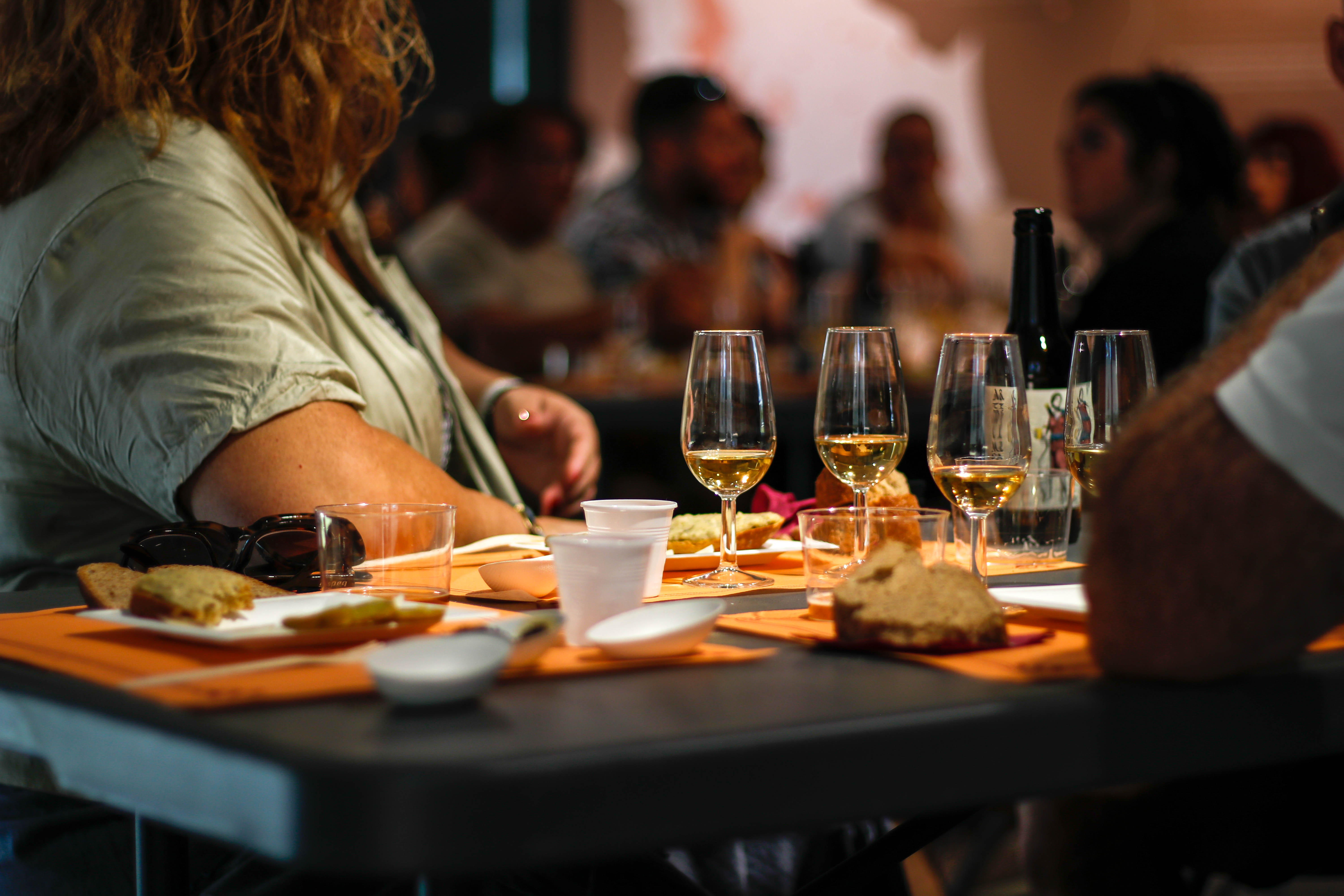 Reviu Ilturo, Festival Cultural Iberoromà a Cabrera de Mar