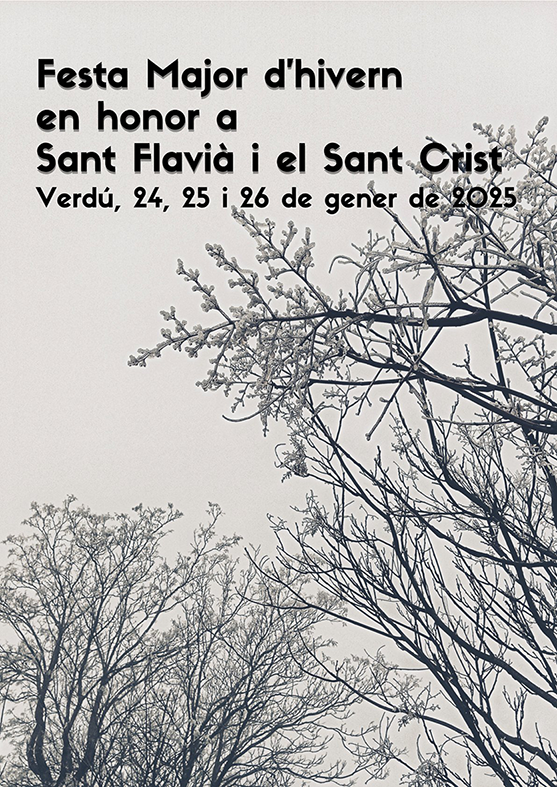 Festa Major d'Hivern de Verdú