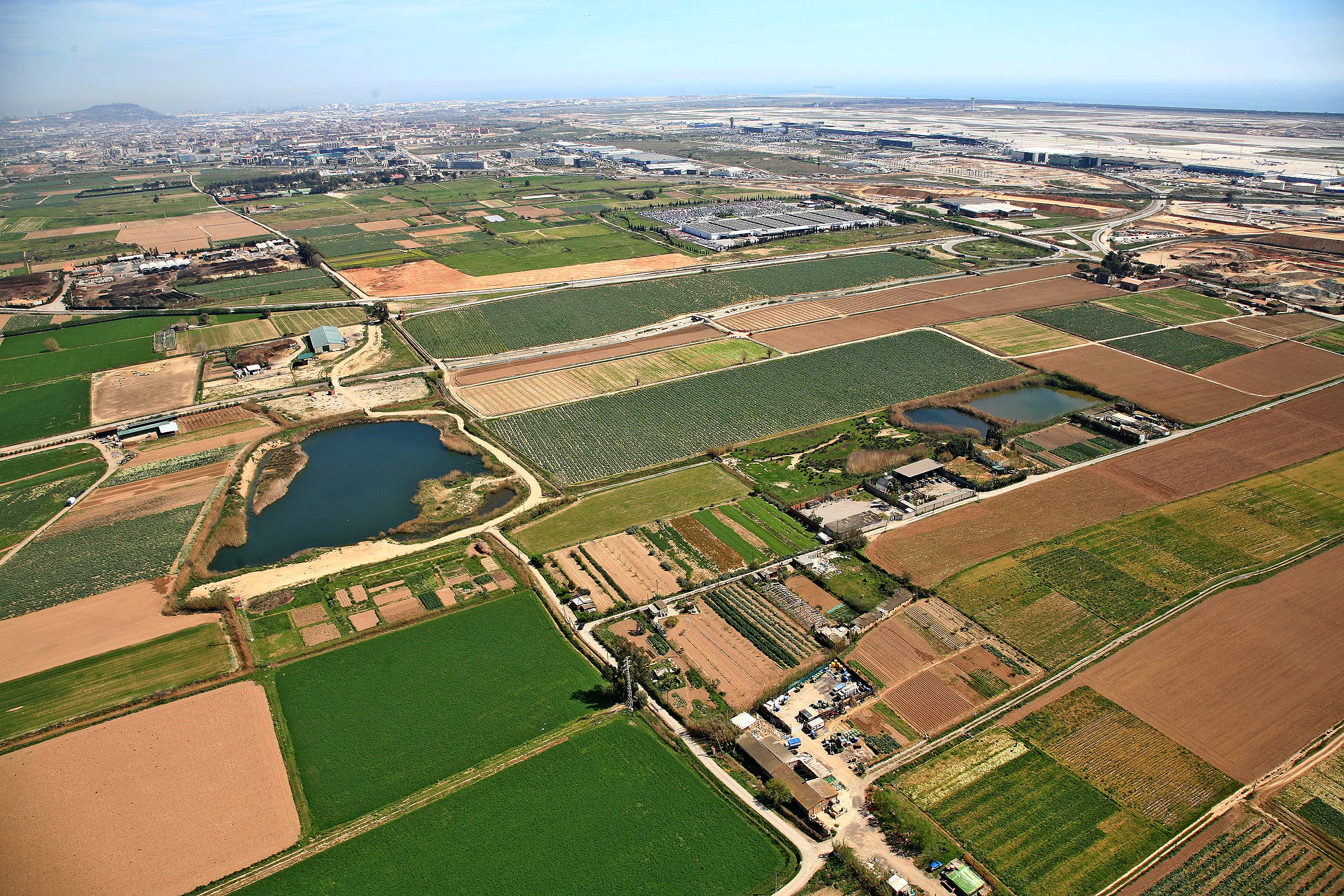 Basses de can Dimoni de Sant Boi de Llobregat