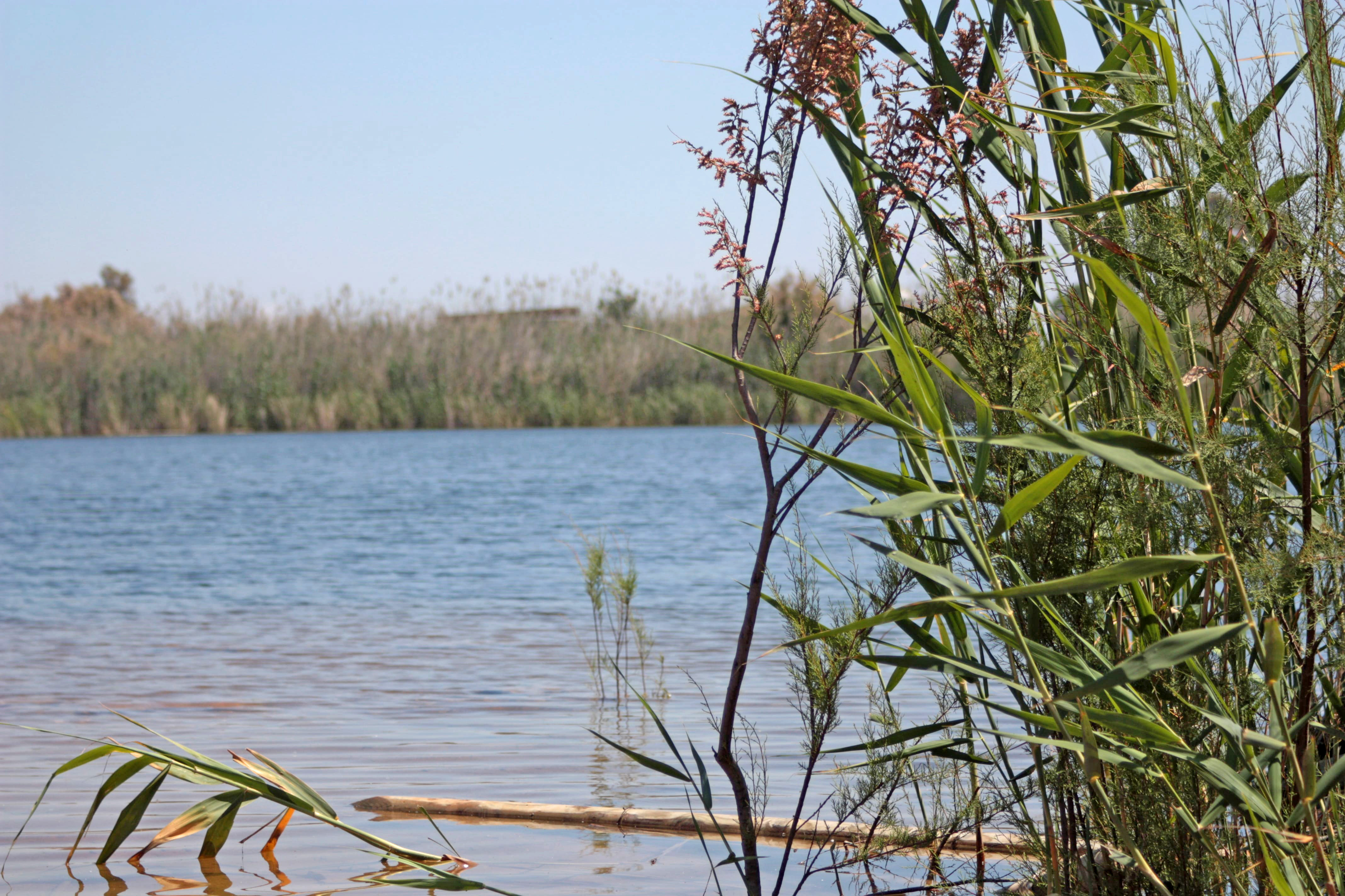 Sant Boi de Llobregat - Basses de can Dimoni (Foto: Ajuntament)