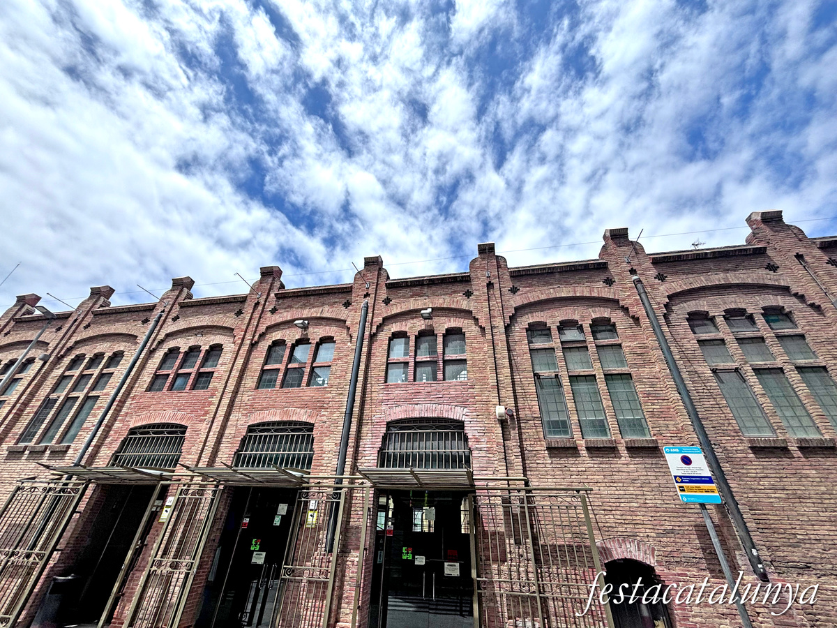 Sant Boi de Llobregat - Can Massallera