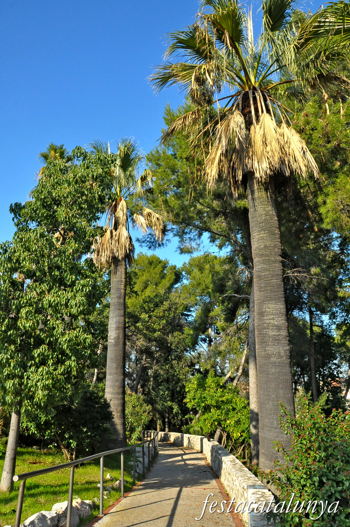 Sant Boi de Llobregat - Parc de Marianao i Palau dels comtes de Marianao 