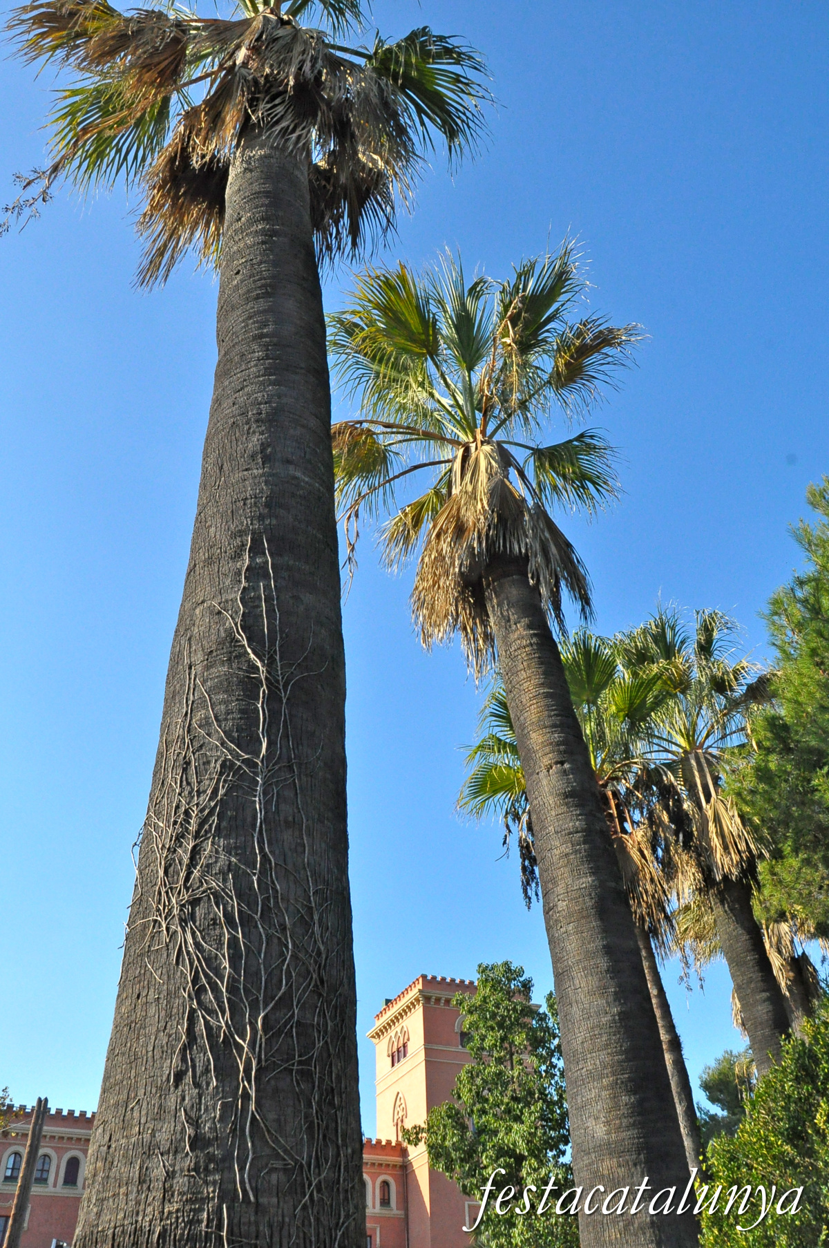 Sant Boi de Llobregat - Parc de Marianao i Palau dels comtes de Marianao 