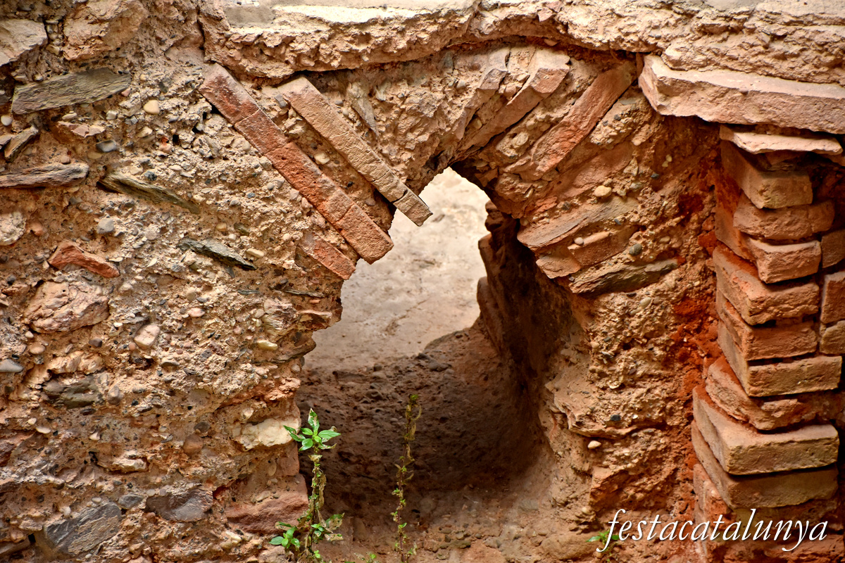 Sant Boi de Llobregat - Termes romanes 