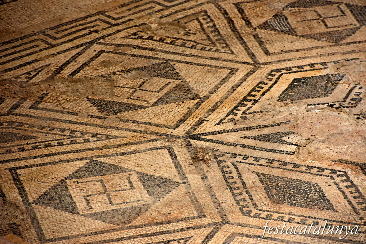 Sant Boi de Llobregat - Termes romanes 