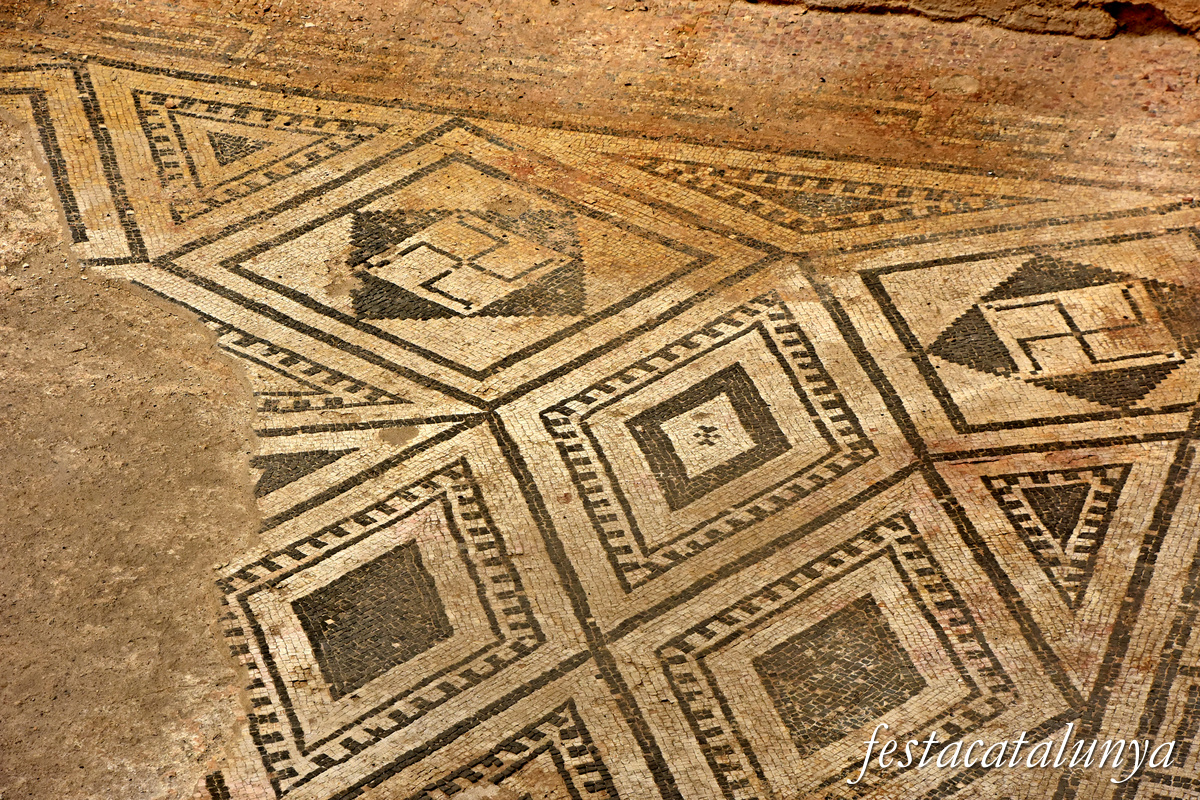 Termes romanes de Sant Boi de Llobregat ***