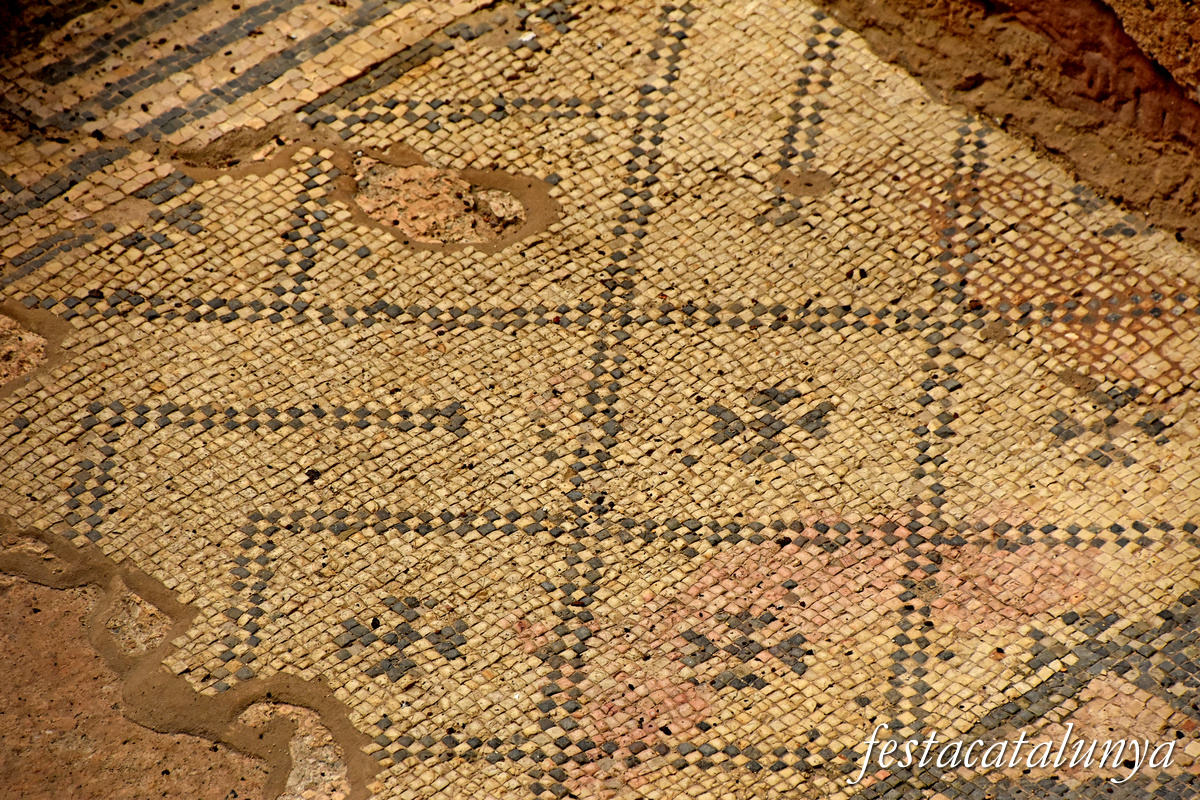 Sant Boi de Llobregat - Termes romanes 