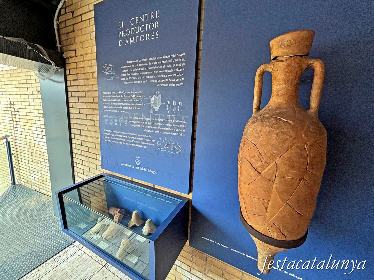 Sant Boi de Llobregat - Termes romanes 