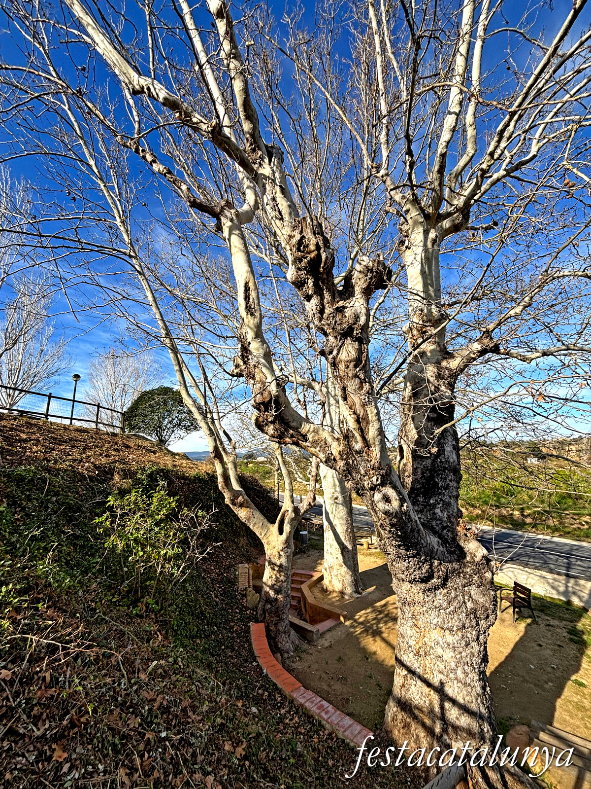 El Pla del Penedès - Font de l'Esteve 