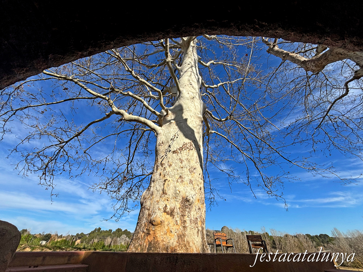 El Pla del Penedès - Font de l'Esteve