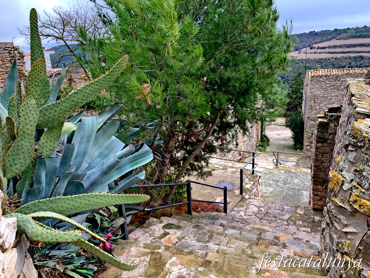 Llorac - Nucli històric d'Albió