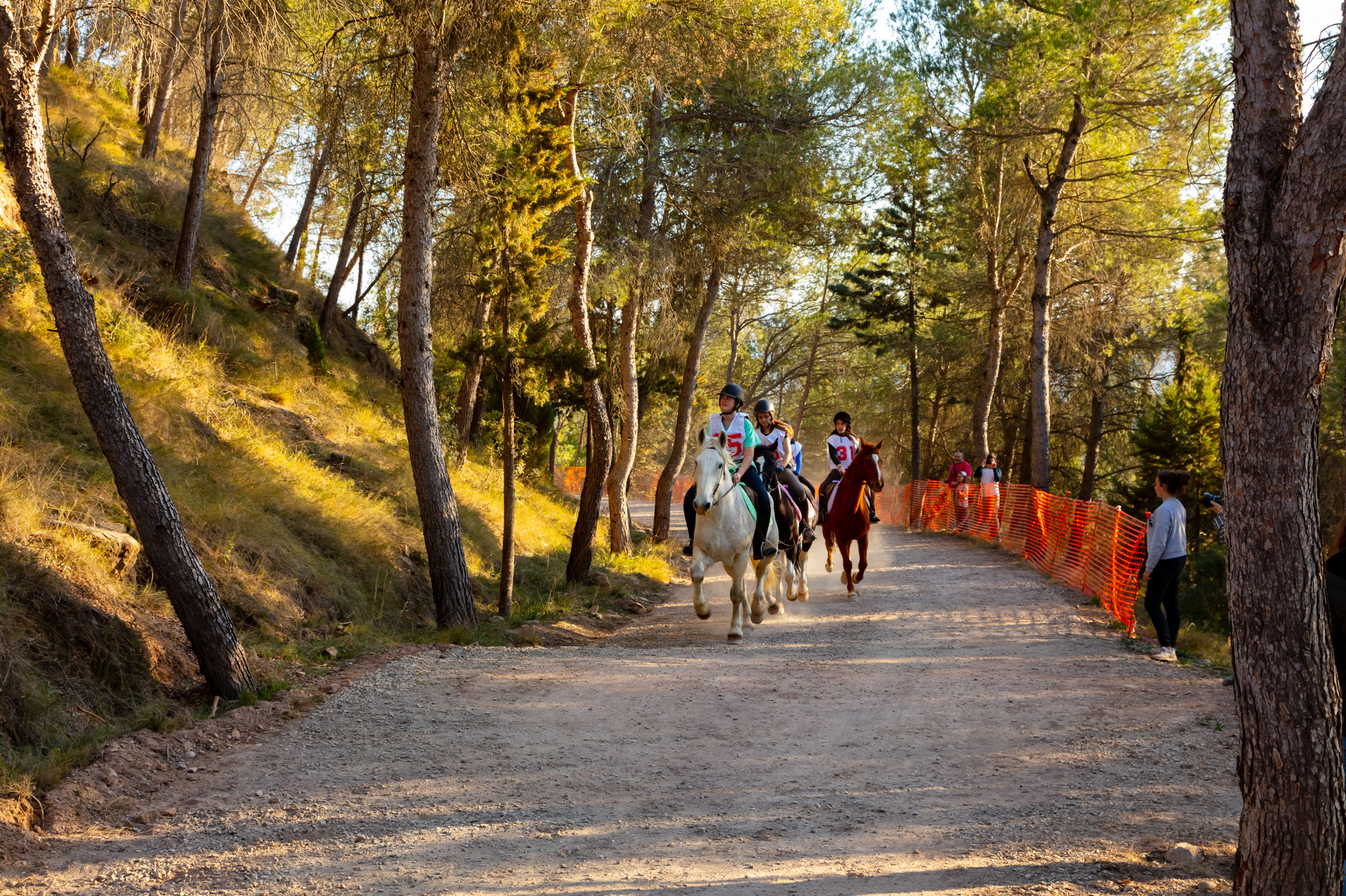 Festa dels Traginers a Balsareny
