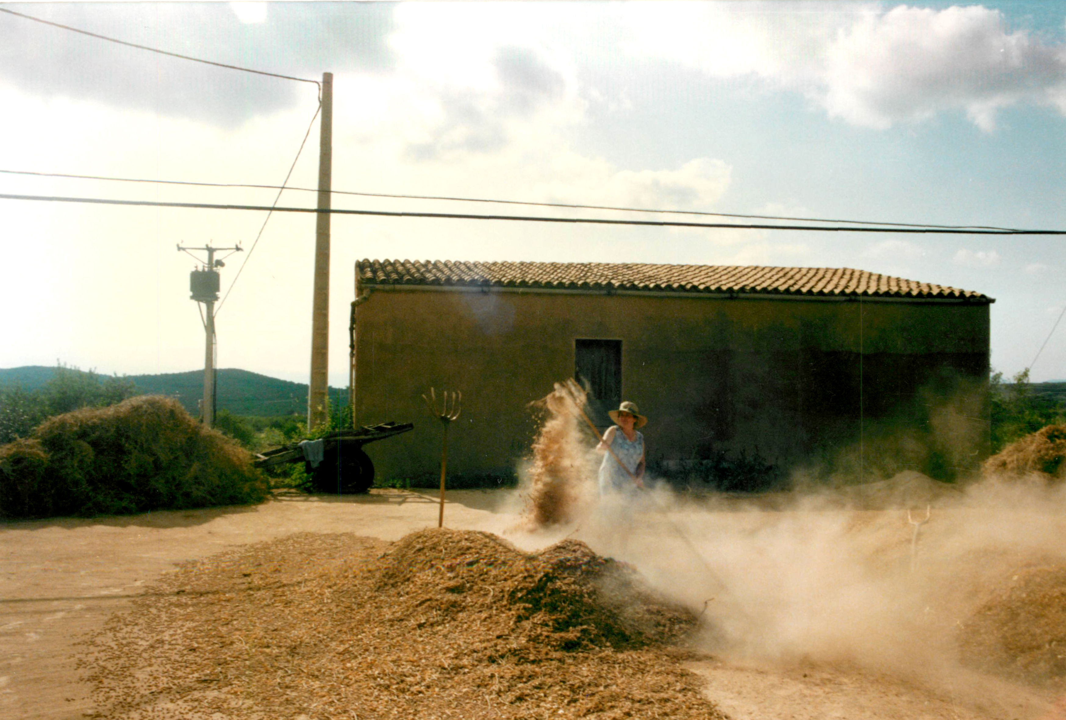 El Campàs / L'Era de Cal Cabellut / Bar L'Era de Masllorenç