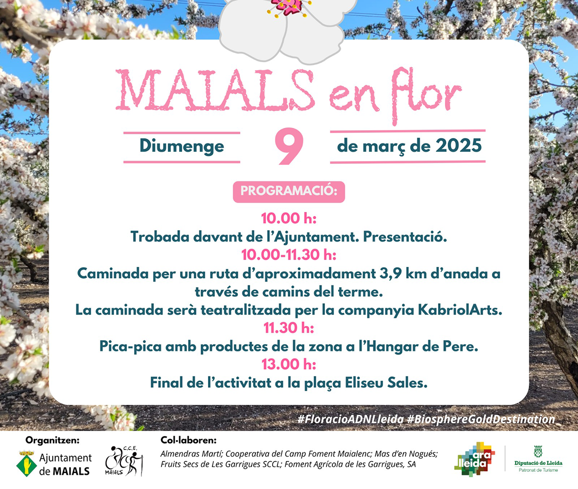 Caminada Maials en flor