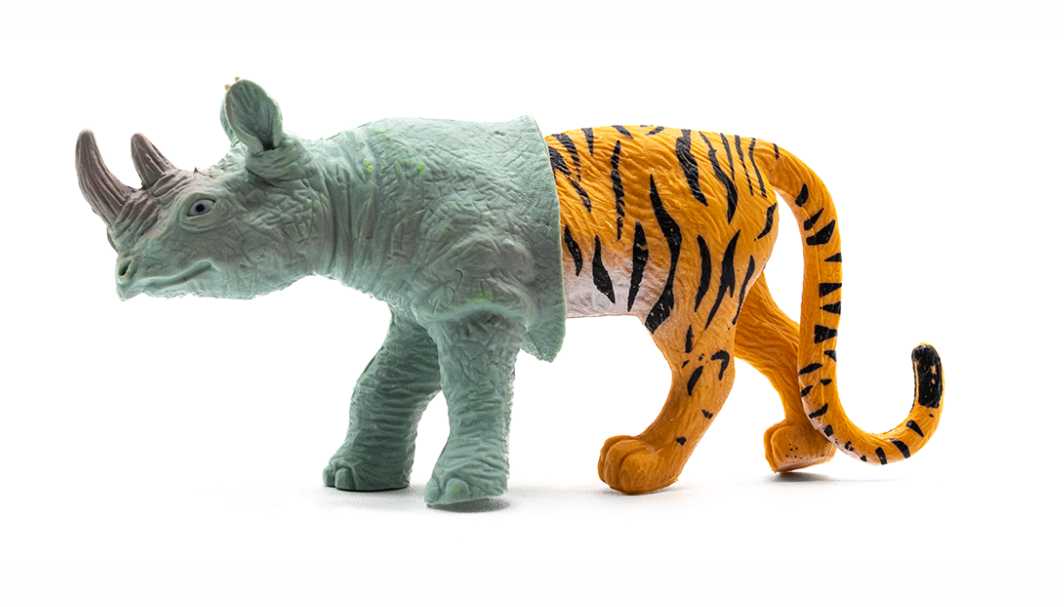 MUD, Festival de Músiques Disperses de Lleida