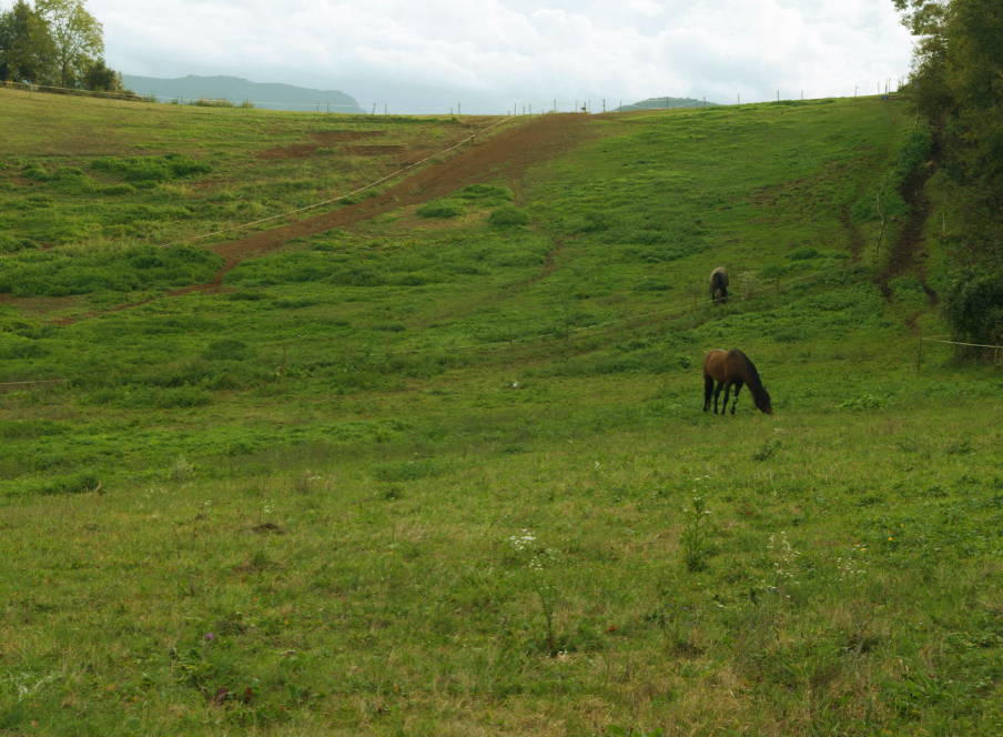 Rutes per les Preses