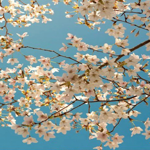 Primavera Cultural a Castellvell del Camp