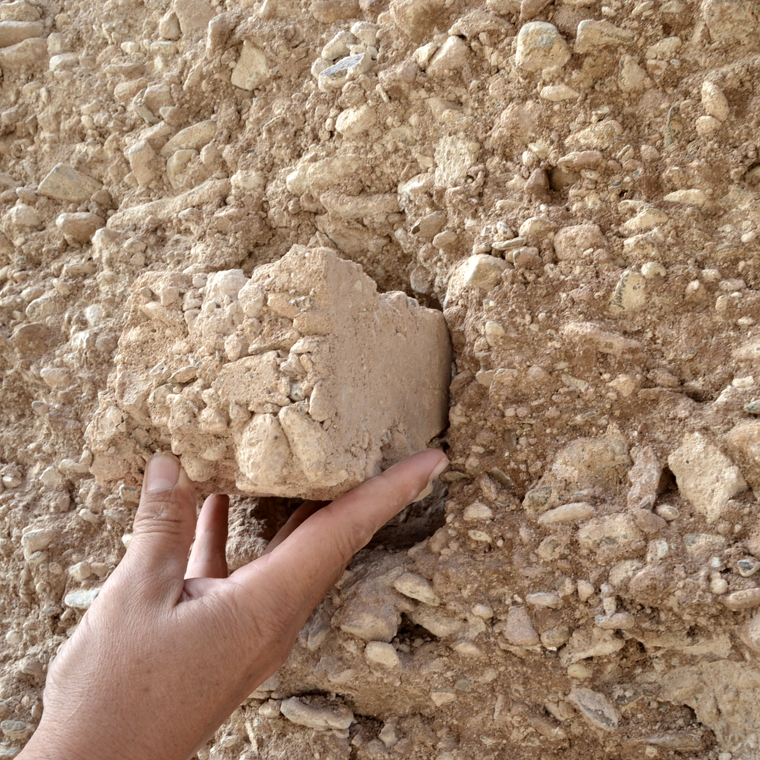 Ajuntament d'Ivars d'Urgell ***