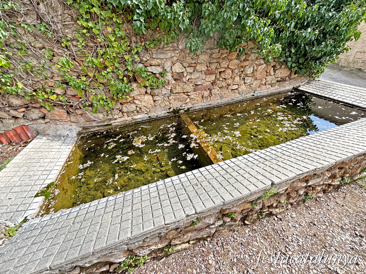 Font-rubí - Poble de l'Avellà 