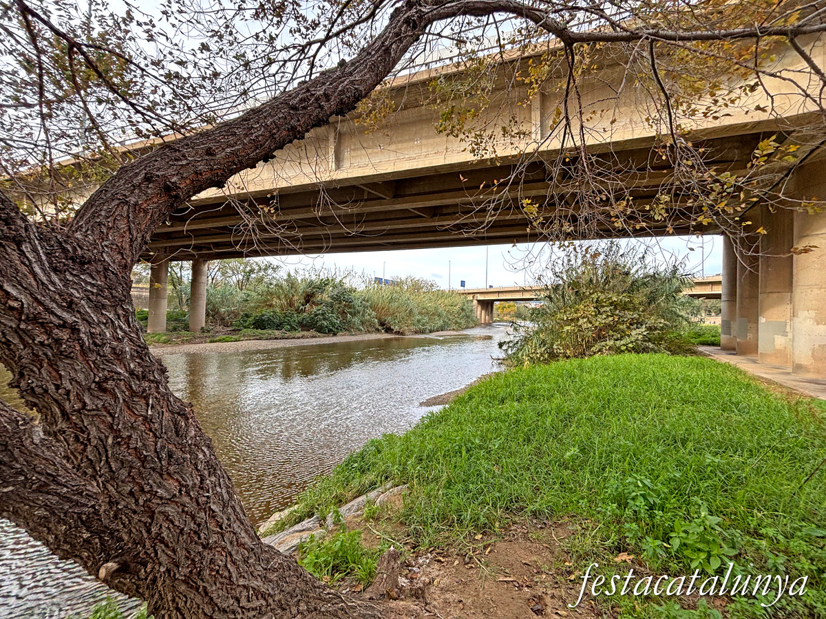 Sant Adrià de Besòs - Parc fluvial de la llera del riu Besòs
