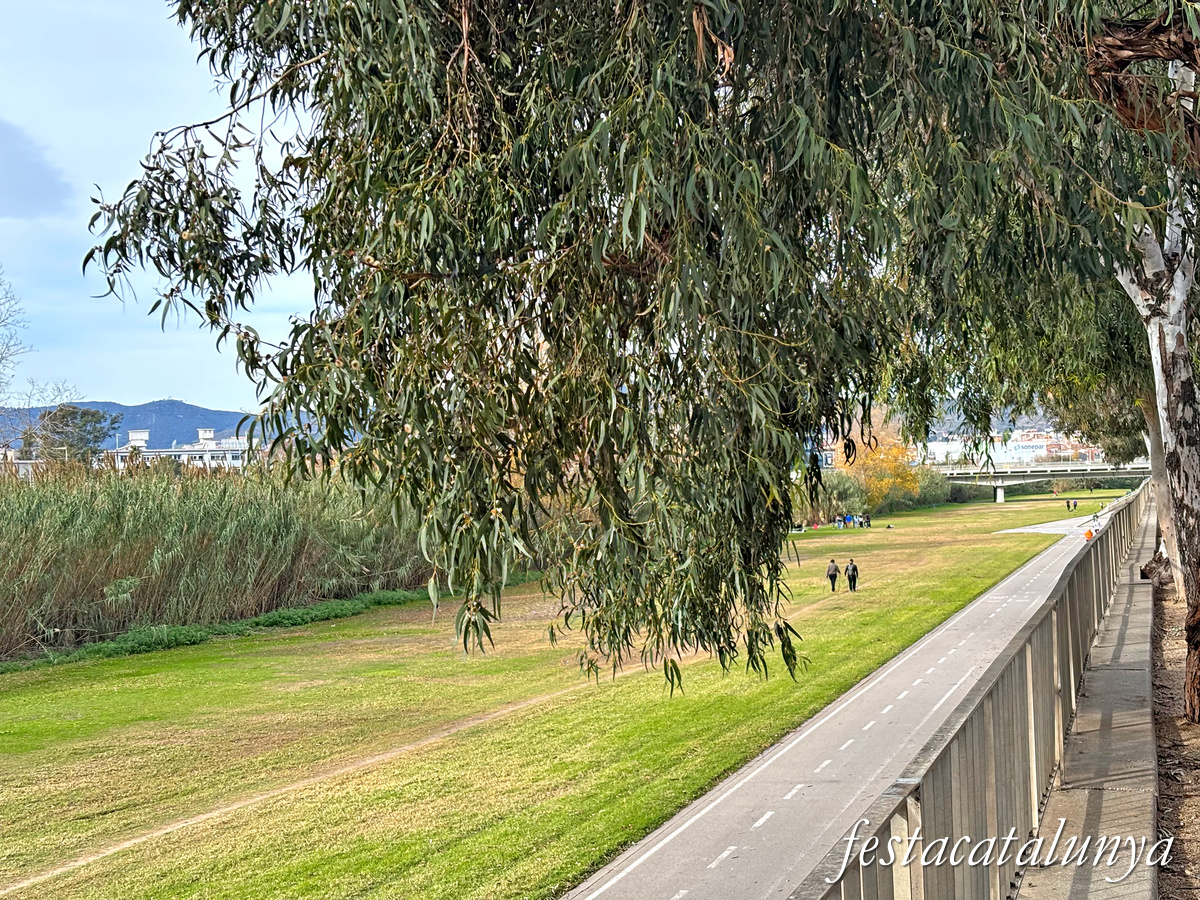 Sant Adrià de Besòs - Parc fluvial de la llera del riu Besòs