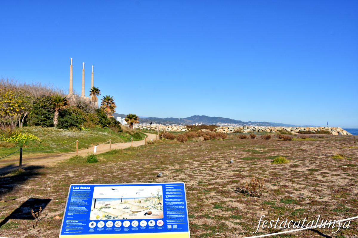 Sant Adrià de Besòs - Platja del Fòrum 