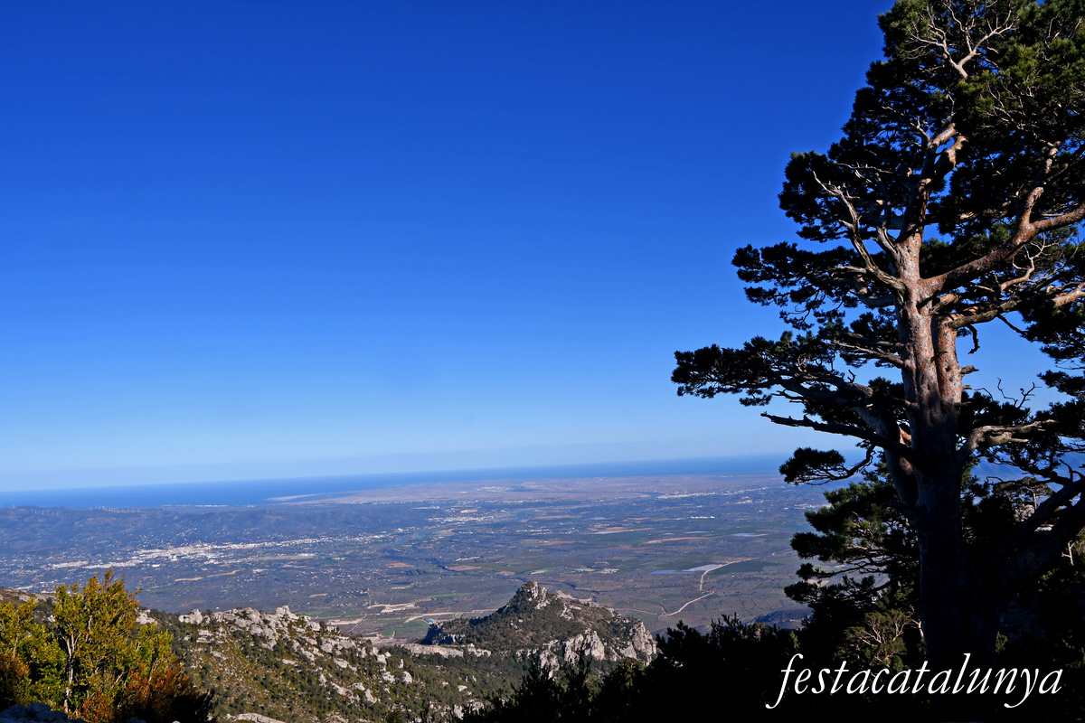 Roquetes - Mirador del cim de Caro 