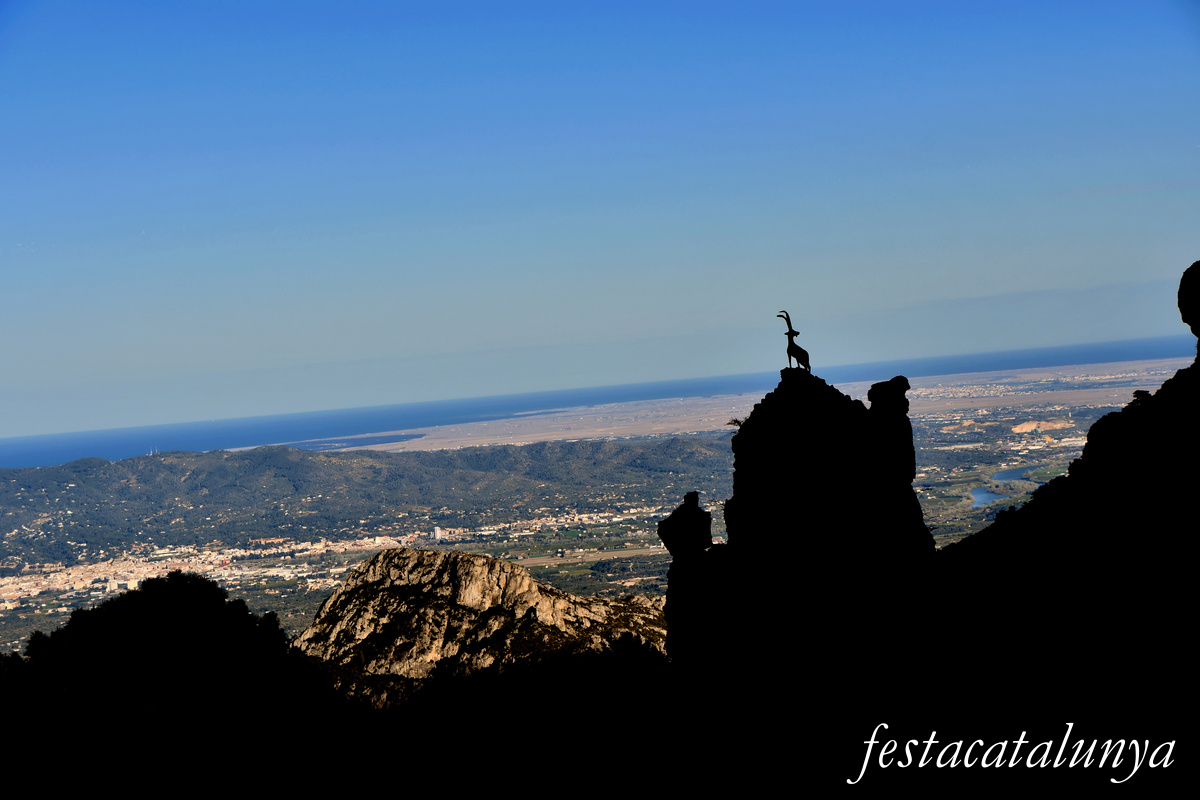 Roquetes - Mirador del cim de Caro 
