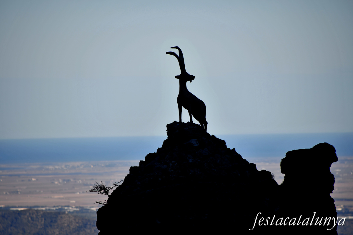 Roquetes - Mirador del cim de Caro 
