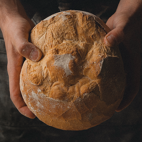 Fira del Pa i el Cereal a Cervera