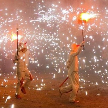 Sant Isidre, Fira de la Pagesia de Bellvei