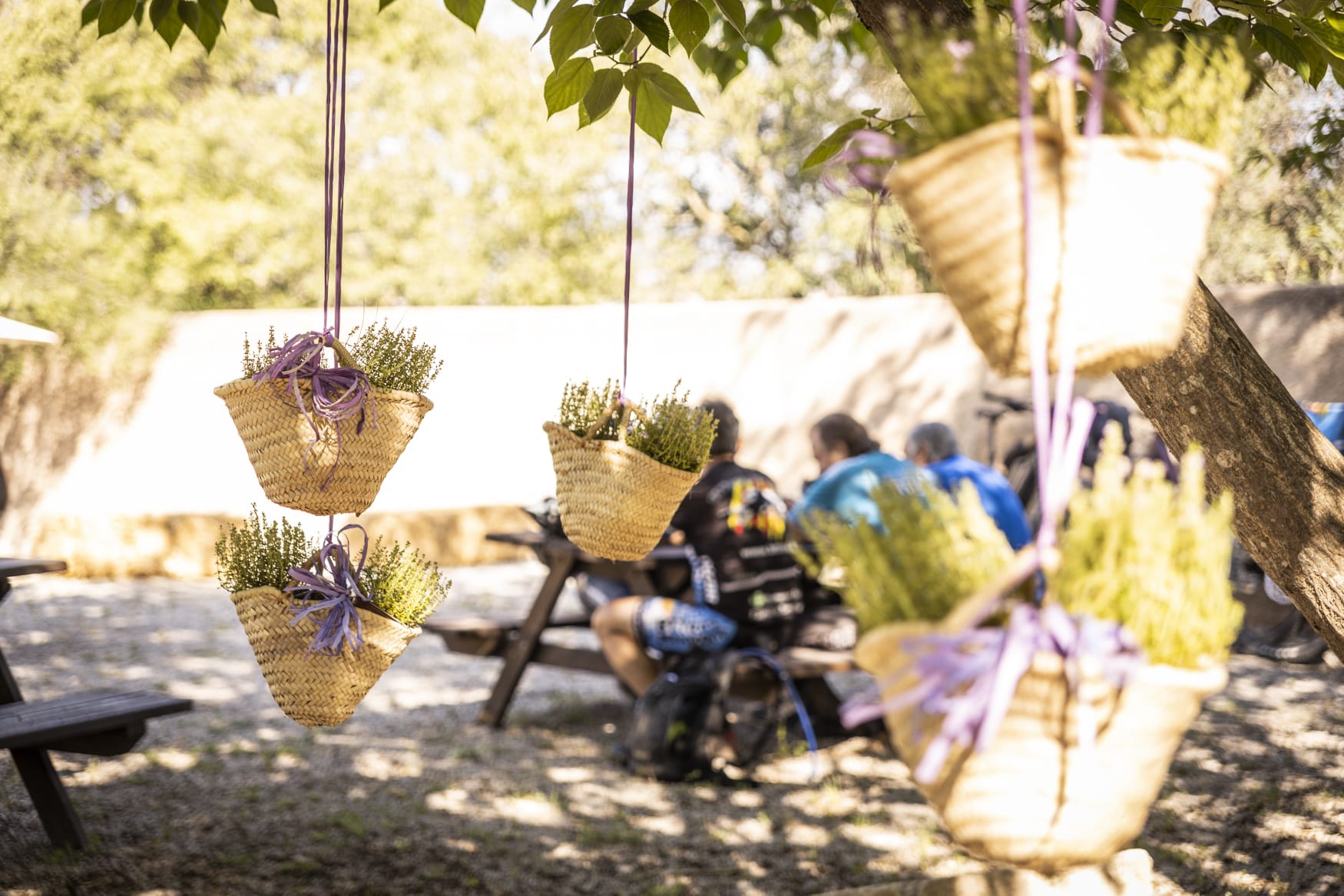 Remeiart a Santa Margarida i els Monjos