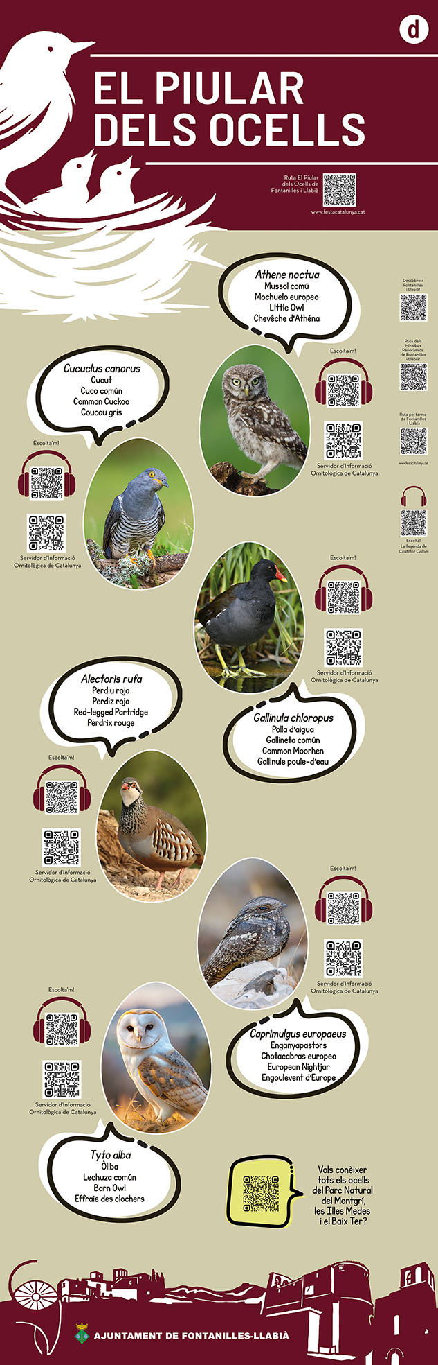 Fontanilles - Ruta El Piular dels Ocells 