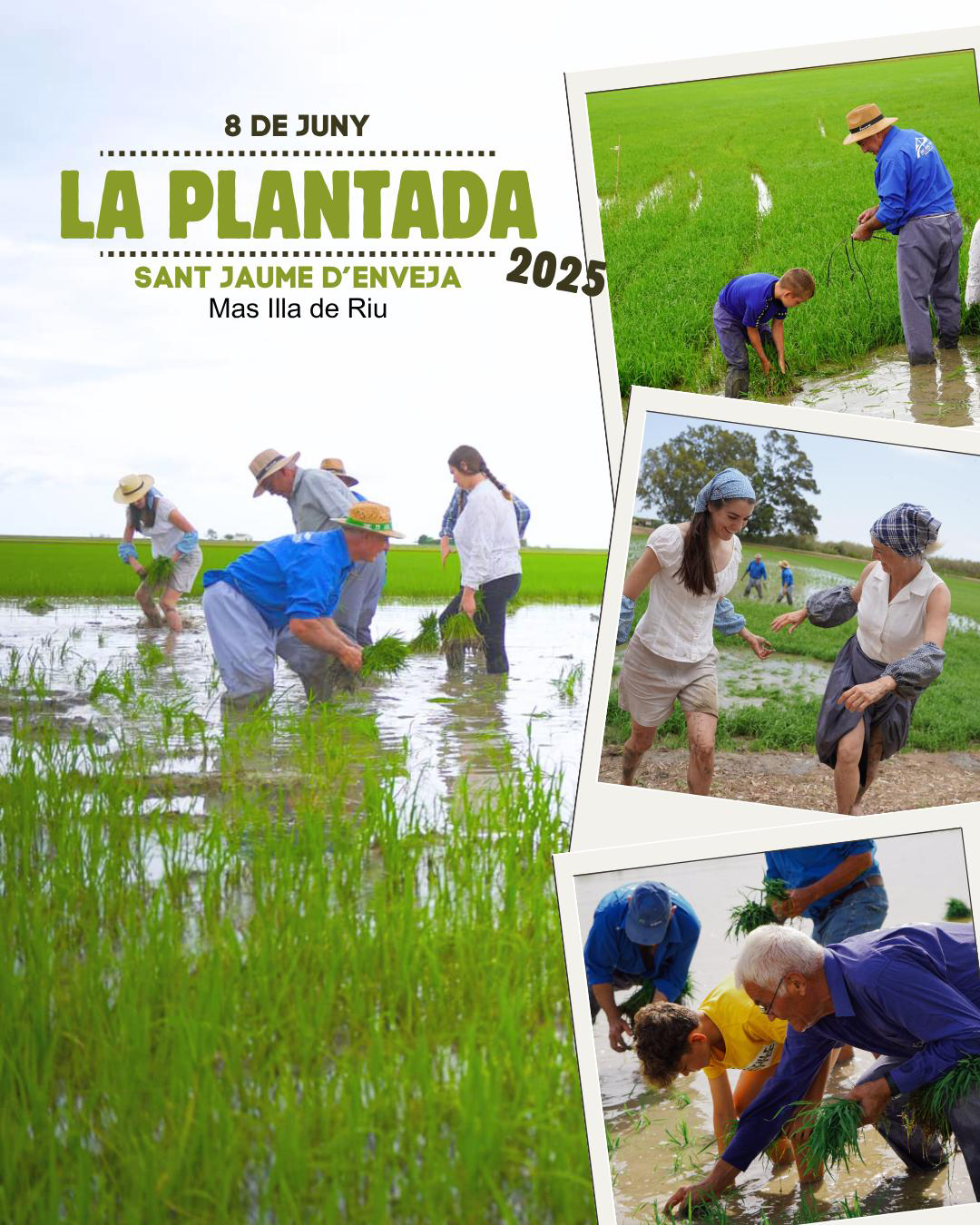 La Plantada de Sant Jaume d'Enveja