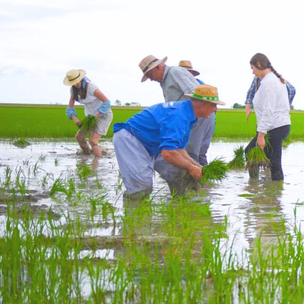 La Plantada de Sant Jaume d'Enveja