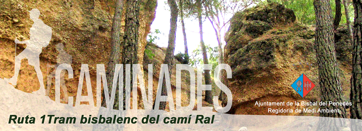 Rutes a la Bisbal del Penedès