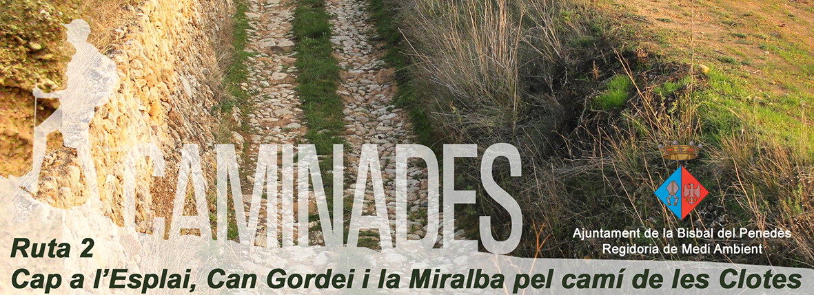 Rutes a la Bisbal del Penedès